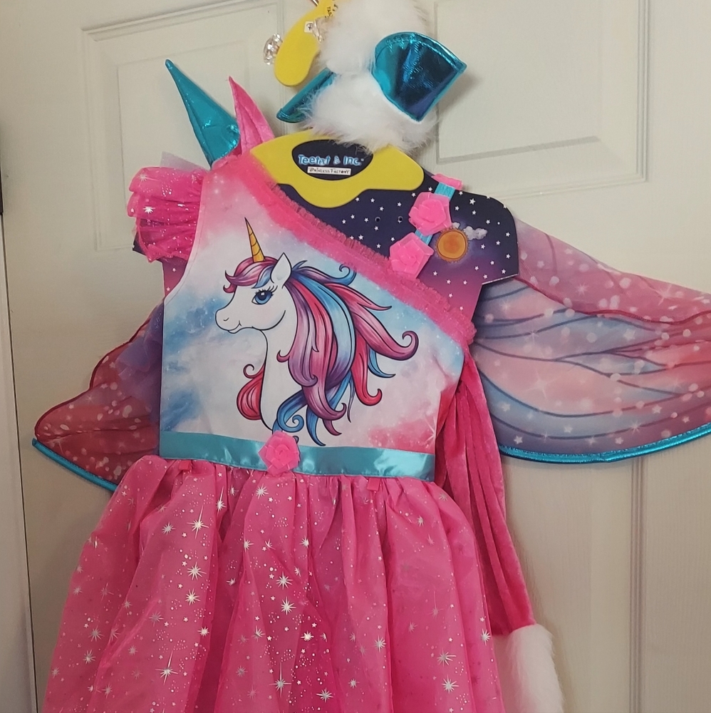 Princess Factory Halloween Costume 5/6
